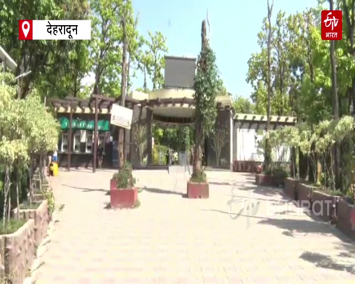 TIGERS AND LEOPARDS IN DEHRADUN ZOO