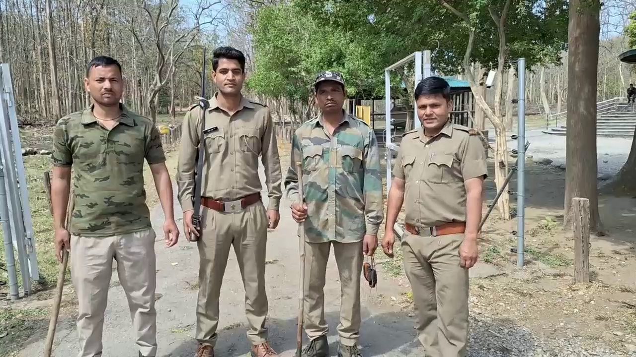 Forest Department Officer Patrolling Wearing Mask