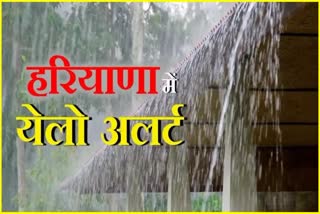 Rain In Haryana