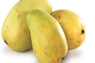 Soak Mangoes Before Eating