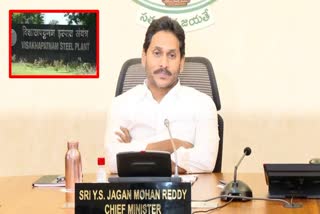 CM Jagan on Visakha Steel Plant Privatization