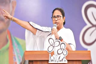 Mamata Banerjee on Lok Sabha Election Campaign