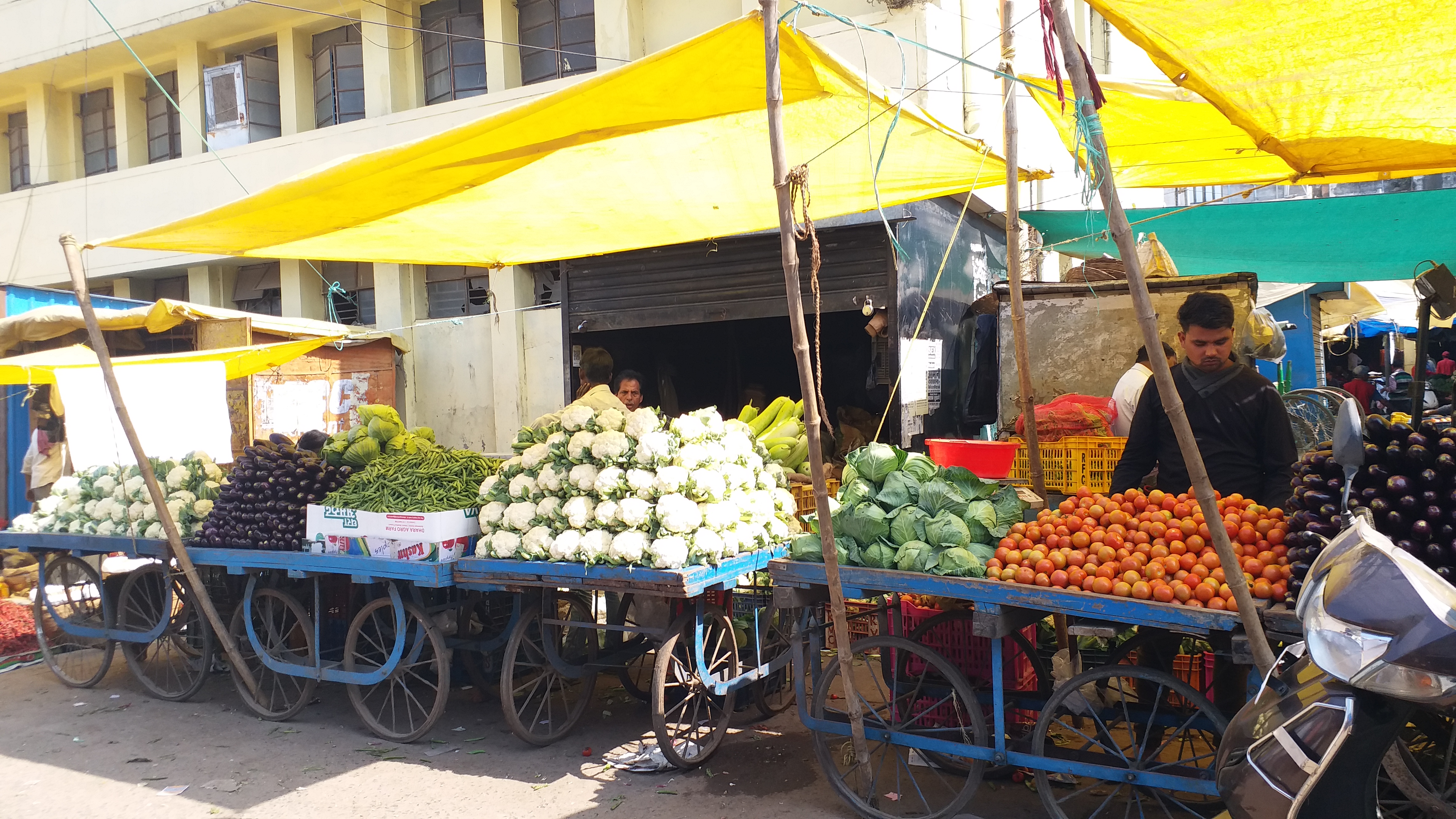 rising prices of green vegetables