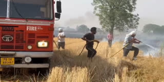 A massive fire broke out in wheat fields in Moga, a fire department employee also suffered burns