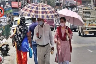 Haryana Weather Update