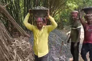 BJP MLA carries bricks