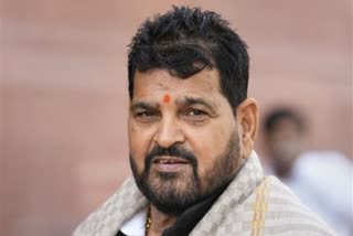 BRIJBHUSHAN SHARAN SINGH