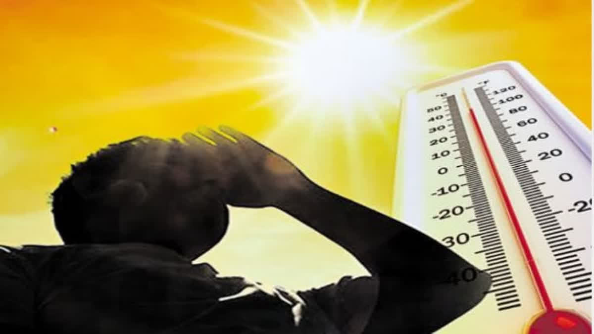 Traveling in the heat can be exhilarating, but it comes with serious health risks (Representational Image)