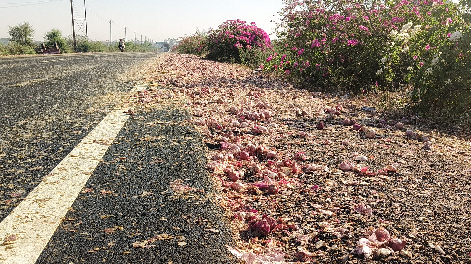 Onion loded tractor accident