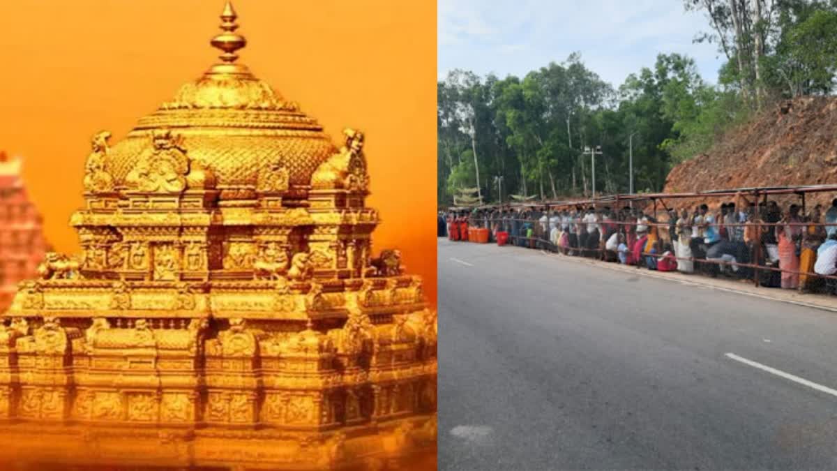 Heavy rush of devotees in Tirumala