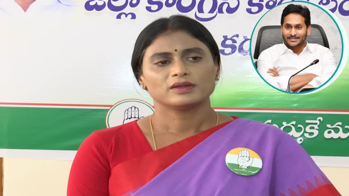 Sharmila Comments on CM Jagan