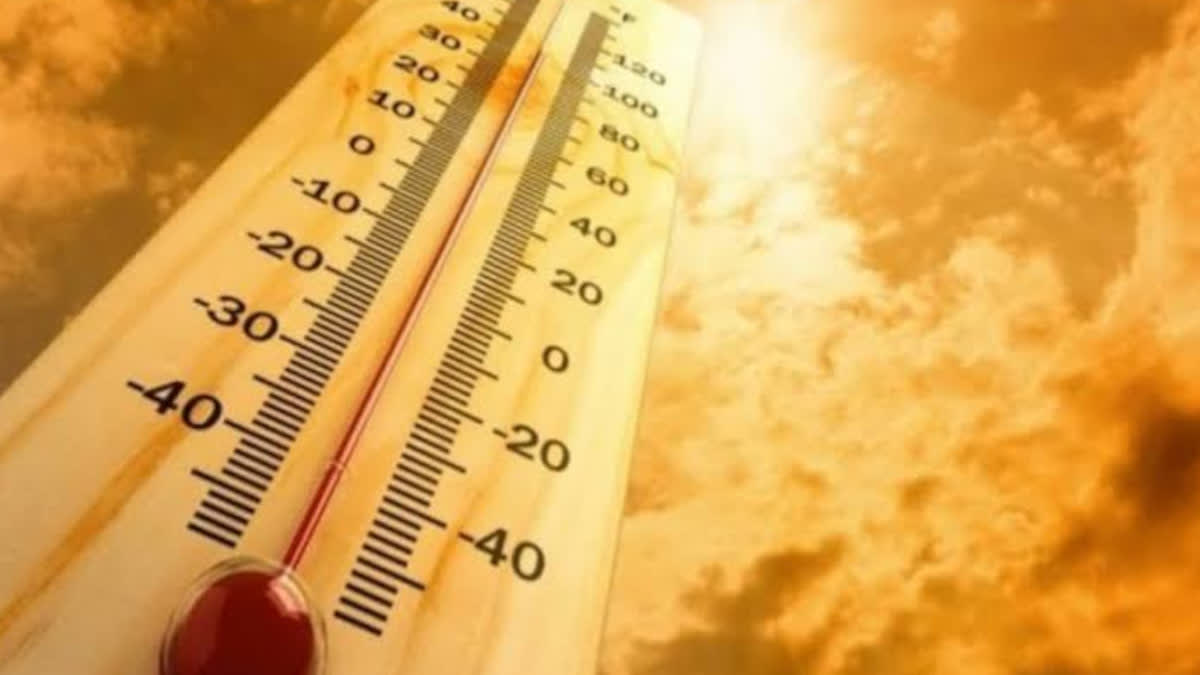 Heat wave related deaths in Rajasthan