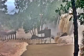 Flood in Thirparappu waterfalls