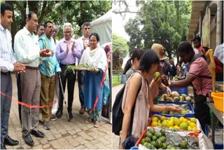 HORTICULTURE DEPARTMENT  NATURAL RIPE FRUIT  CHEMICAL FREE  BENGALURU