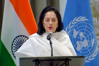 India's permanent representative to the UN, Ruchira Kamboj reiterated that the partnership with Africa will remain a top priority for India.