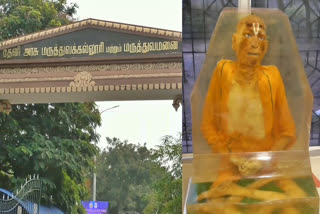 தேனி அரசு மருத்துவக் கல்லூரி, எம்பார்மிங் செய்யப்பட்ட உடல்