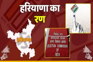 Haryana Lok Sabha Election Voting