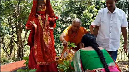 WEDDING OF BANYAN TREE  BANNYAN AND PEEPAL TREE WEDDING  ആൽമരങ്ങൾ വിവാഹിതരായി  ഉത്തരാഖണ്ഡിൽ ആൽമരങ്ങളുടെ കല്യാണം