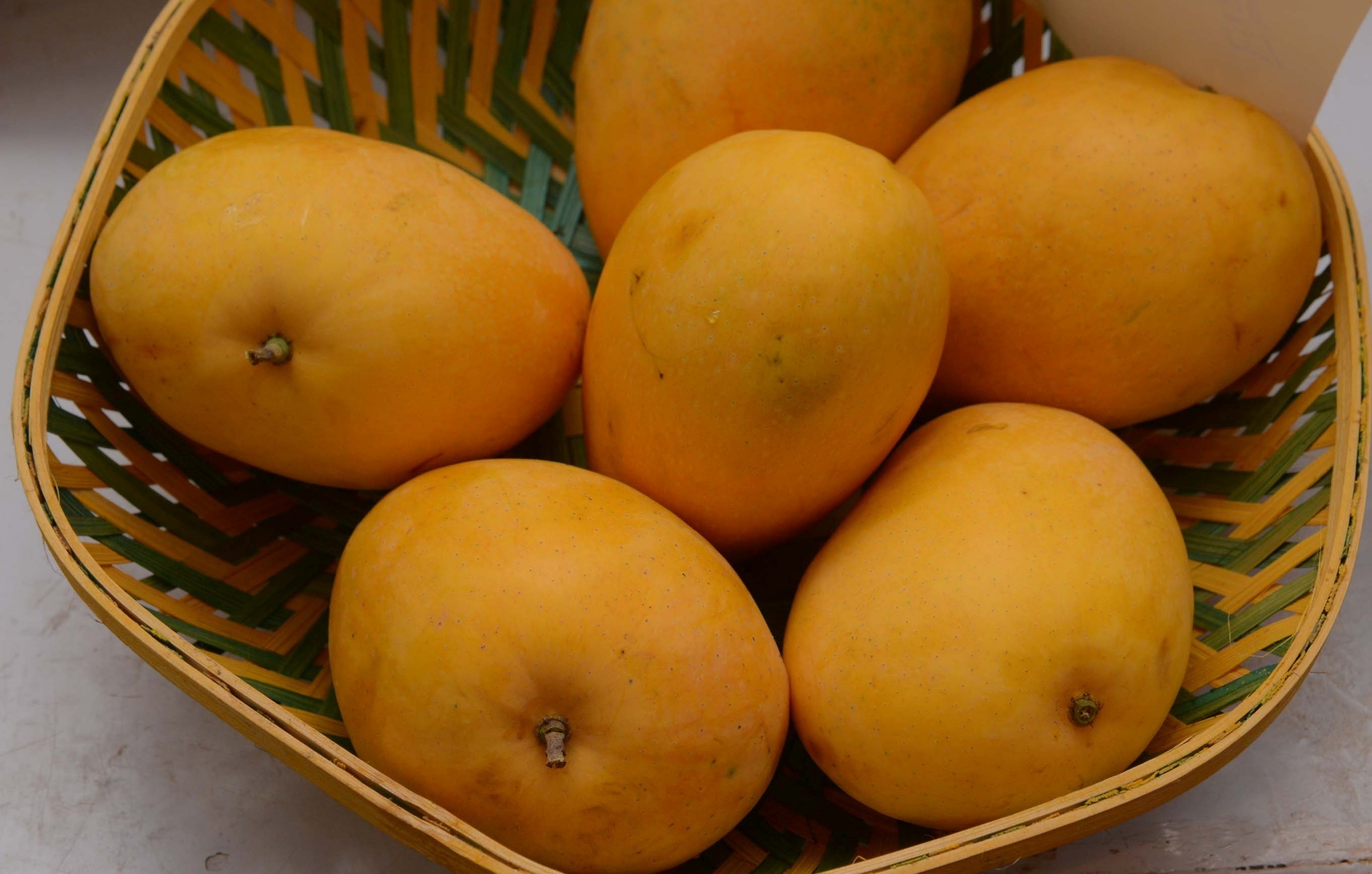 Mango