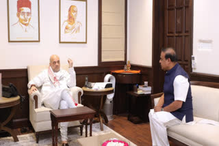 Assam CM meet Amit Shah