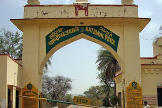 Sariska Tiger Reserve