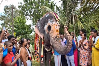 பிறந்தநாள் கொண்டாடிய அகிலா யானை