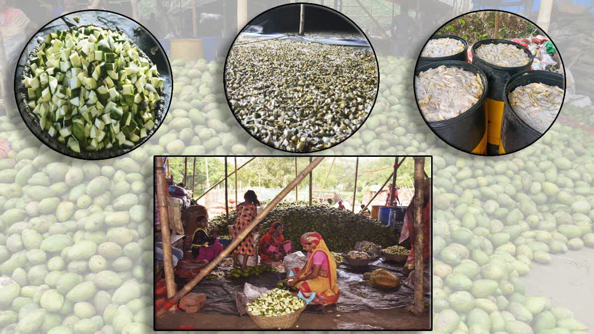 malda mango business