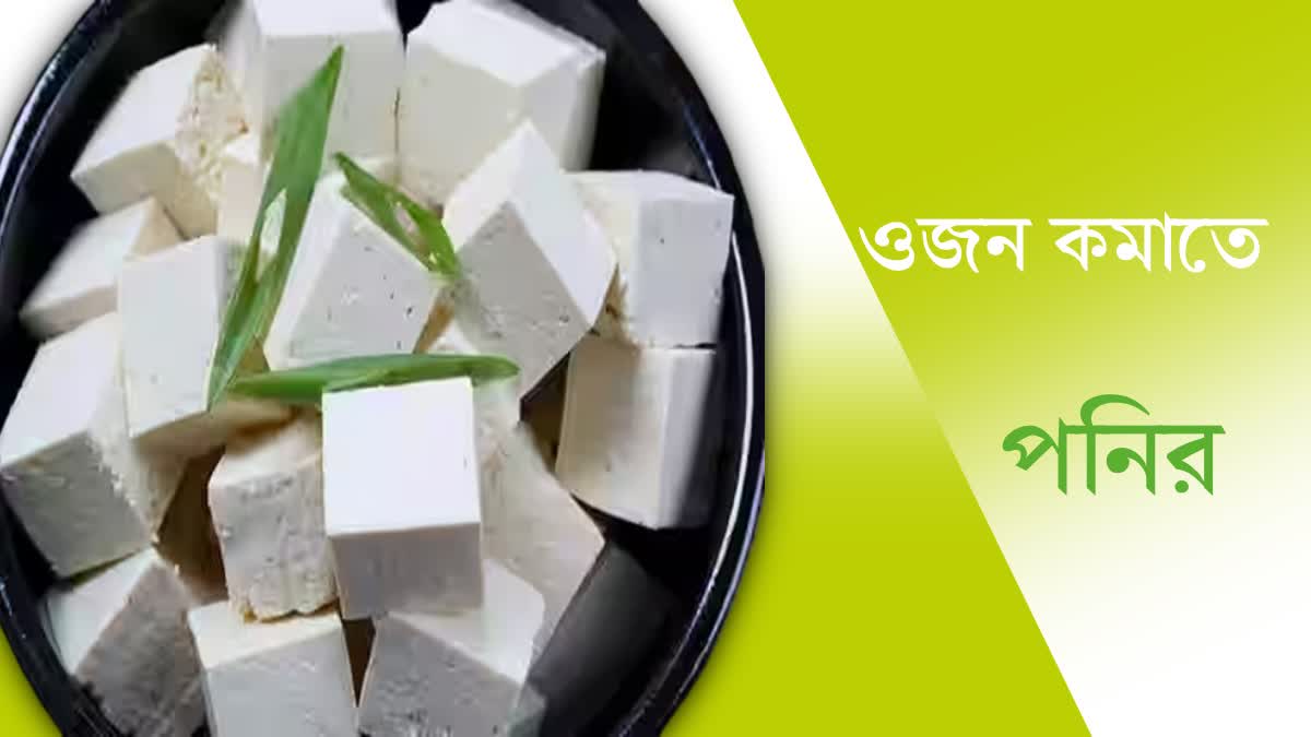 Paneer For Your Health News