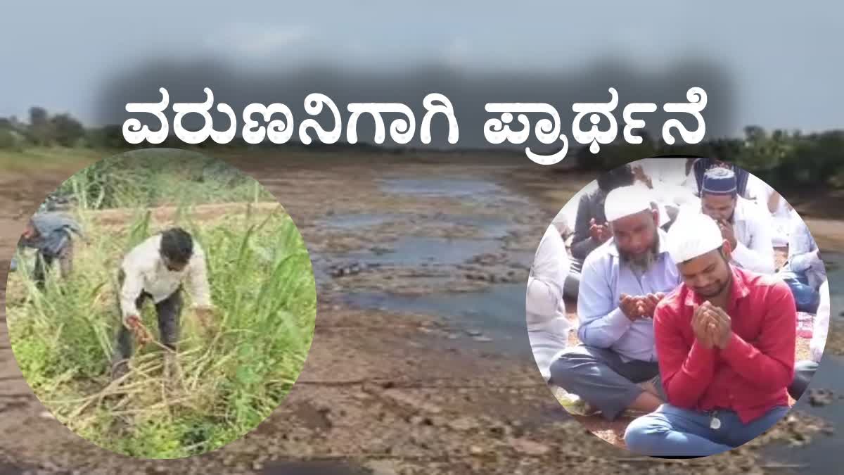 Muslim brothers tearful in mass prayer for rain