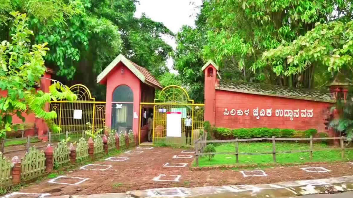 Mangaluru Pilikula Zoo ETV BHARAT