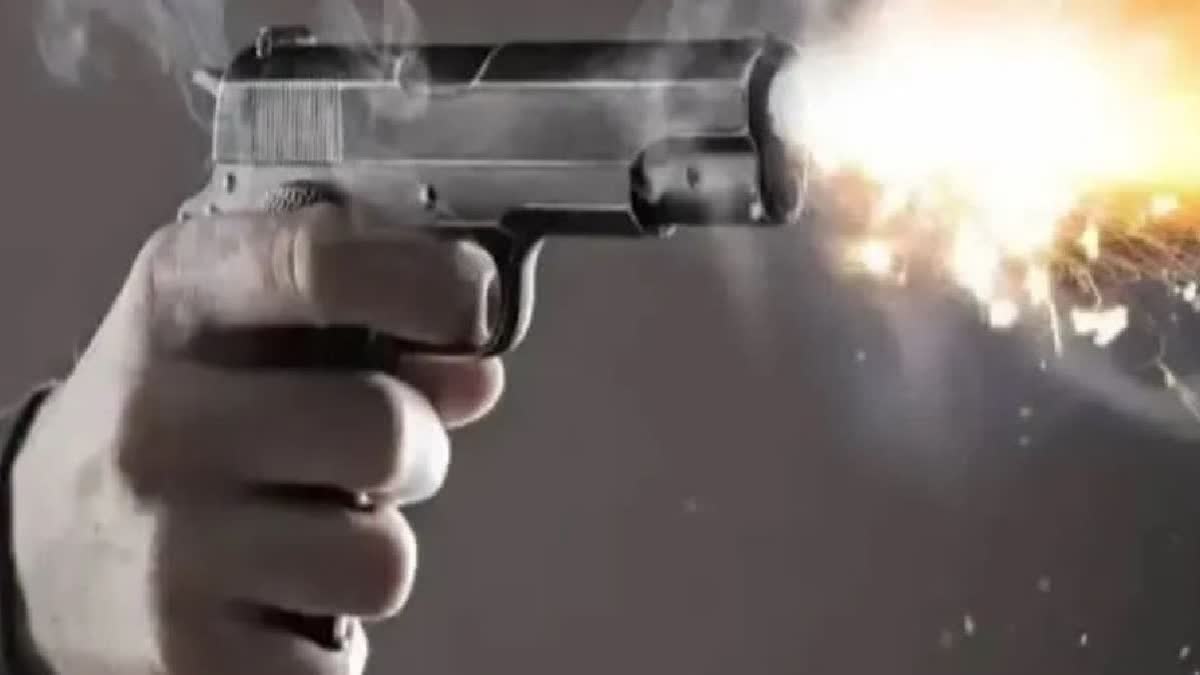 Gun