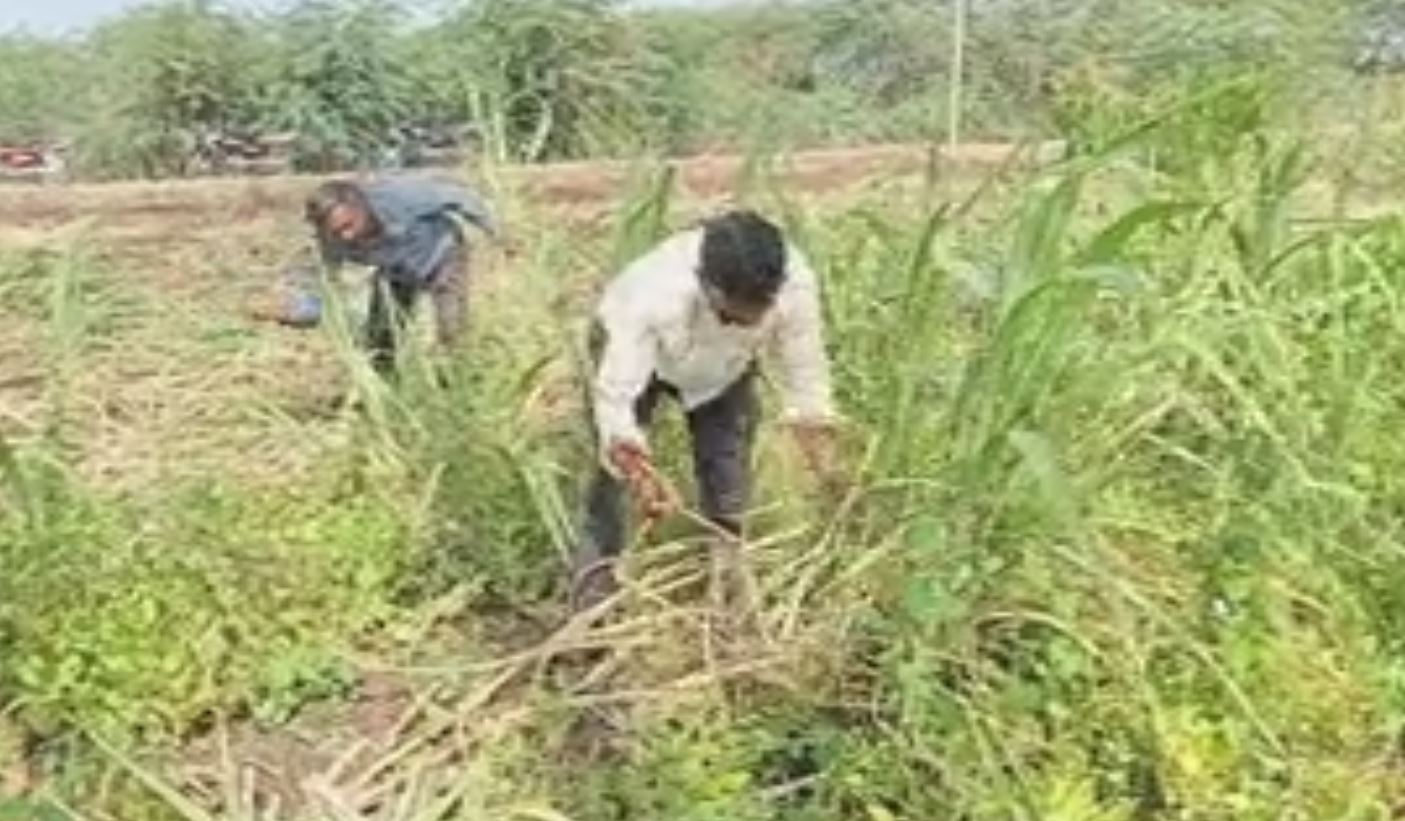 Muslim brothers tearful in mass prayer for rain