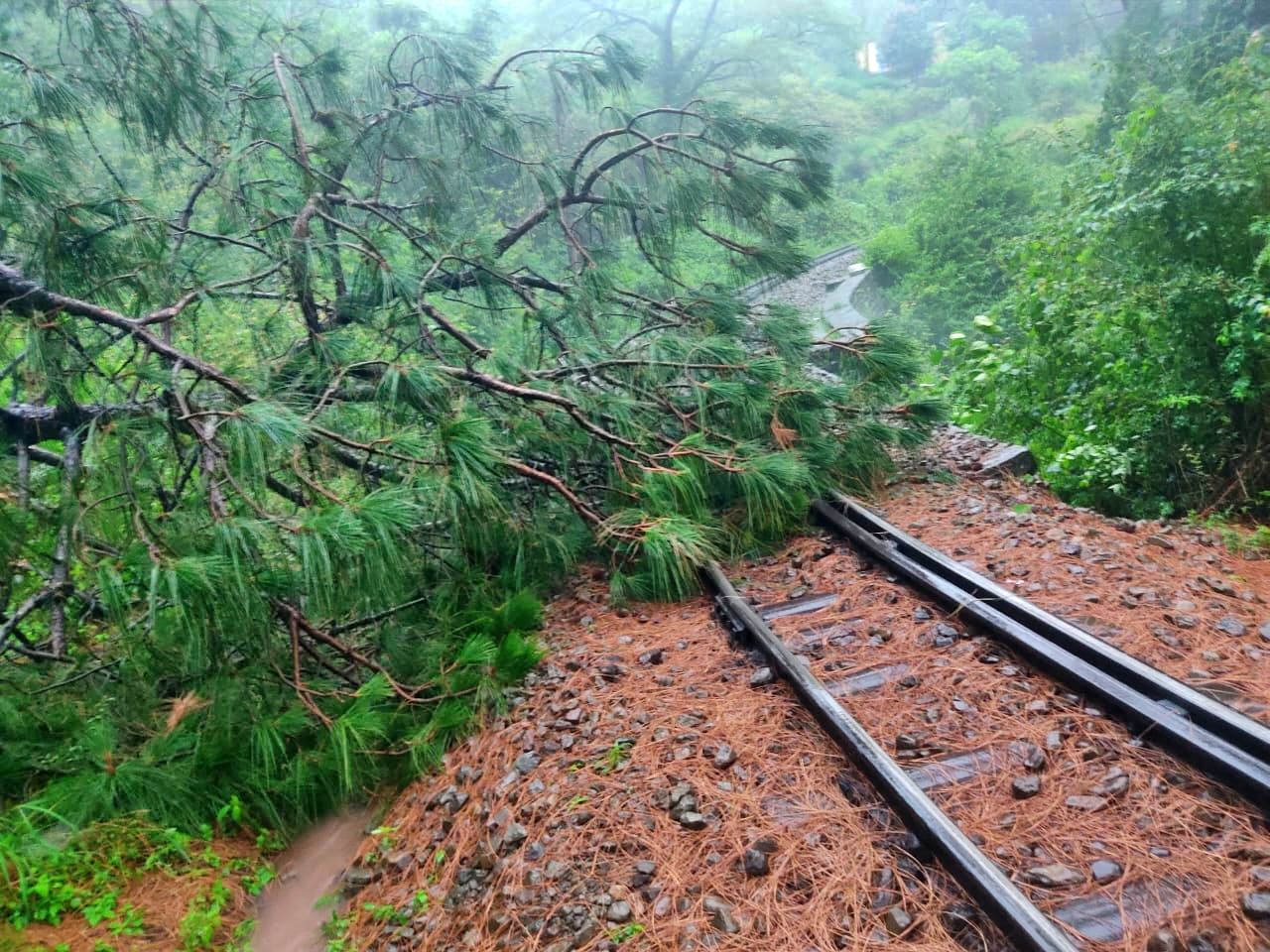 monsoon himachal pradesh 2023