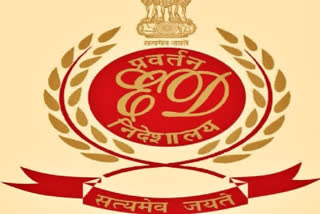 ED arrests Nagpur man on money laundering charges