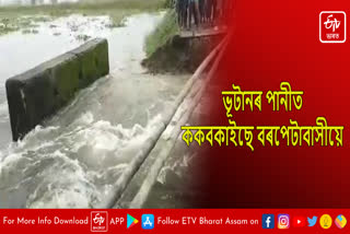 Flood water overflows Culvert in Barpeta