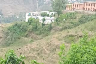 अल्मोड़ा विश्वविद्यालय