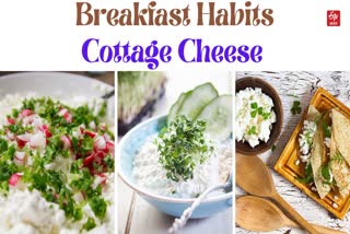 Benefits Of Cottage Cheese
