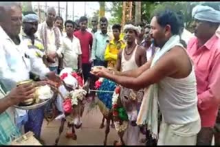 Hanasi Villagers married donkeys for rain