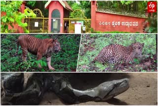 Mangalore's Pilikula Zoo is top in the country in terms of breeding