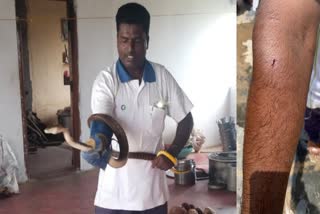 snake rescued