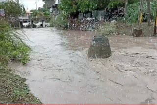 heavy-rain-lashed-rural-areas-including-savarkundla-amreli-town-rivers-overflowed