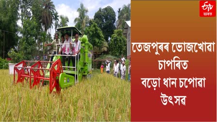 Paddy Grand Harvest Programme