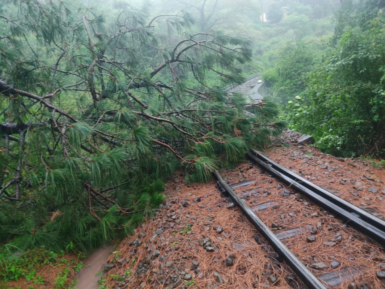 landslide on kalka shimla railway track