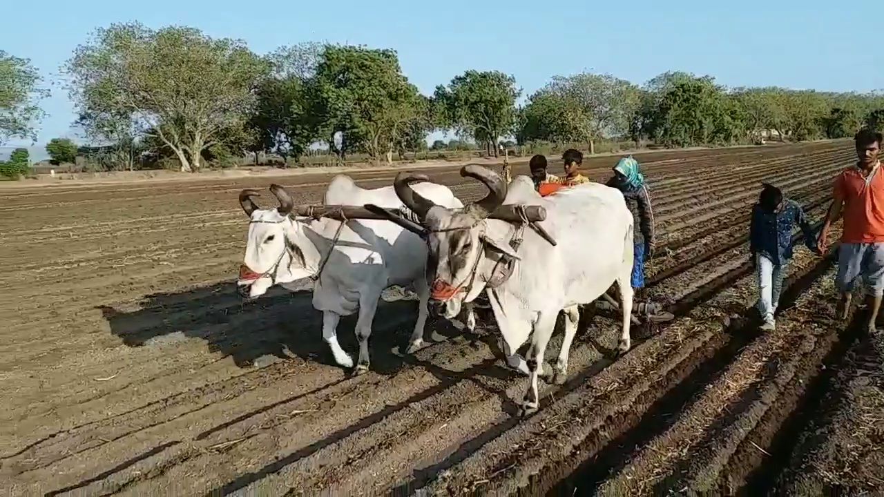 ખેડૂતો લાગ્યા વાવણી કાર્યમા