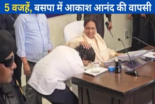 why mayawati again declared akash anand national coordinator 5 reasons detailed hindi story