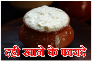 Curd Eating Benefits