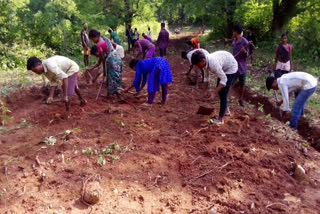 Buriga Tribals Start Built The Road in Alluri District