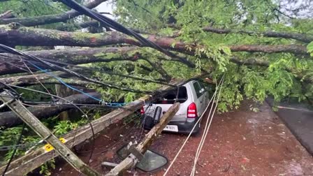 TREE FELL ON CAR IN KOTTAYAM  ചങ്ങനാശേരിയിൽ മരം വീണു  മരം കടപുഴകി വീണു  KOTTAYAM RAIN NEWS