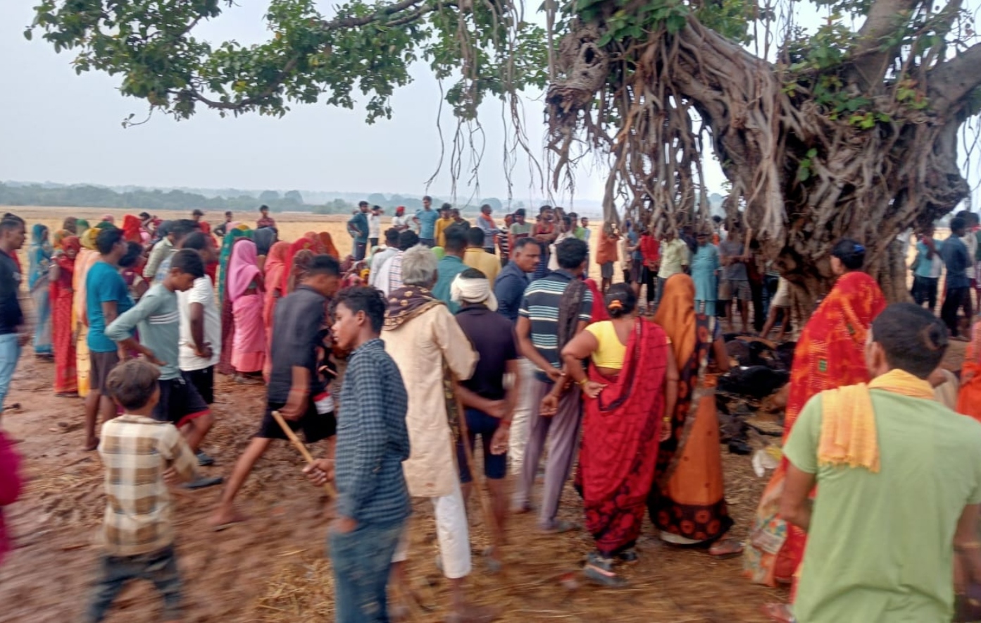 LIGHTNING STRIKE KILLS 120 GOATS