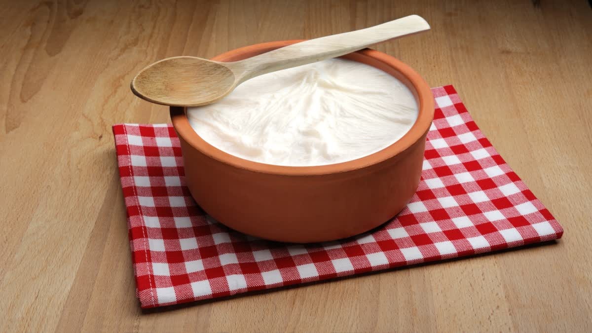 Curd